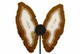 Agate Butterfly Wings - Brazil #322227-1